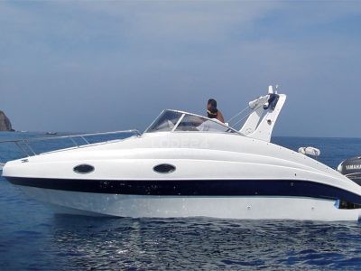 SPORT CRUISER 24 / 7,5 metru