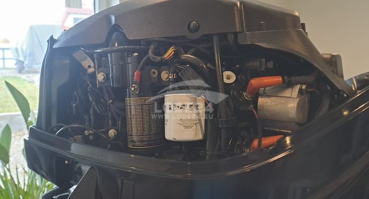 Lodný motor Evinrude 115