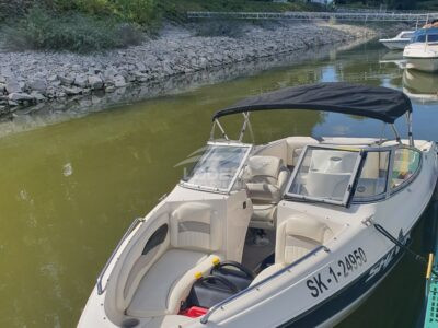 STINGRAY185 LS