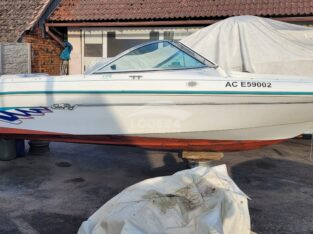 SEA RAY 175