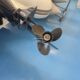 GUMOVY CLN PROTENDER 440