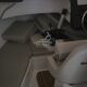 Quicksilver 605 Pilothouse